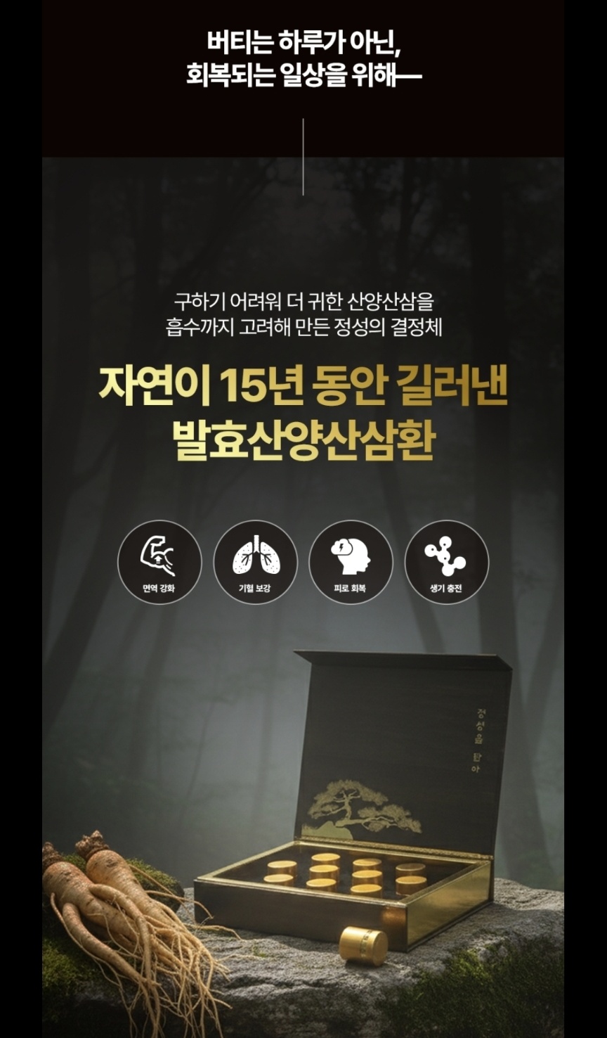 버티는 하루가 아닌, 회복되는 일상을 위해 — 자연이 15년 동안 길러낸 발효산양산삼환