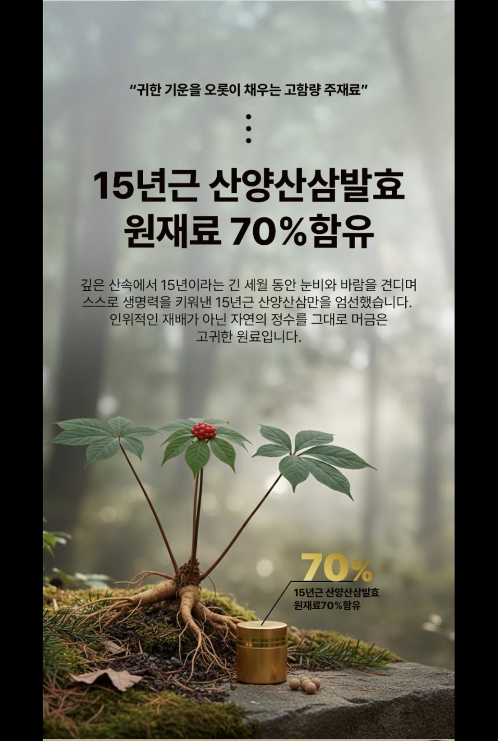 15년근 산양산삼발효 원재료 70% 함유 — 귀한 기운을 오롯이 채우는 고함량 주재료