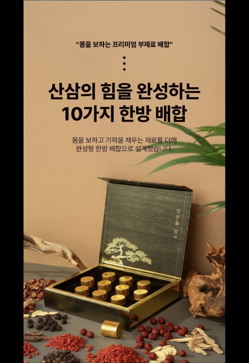 산양삼의 힘을 완성하는 10가지 한방 배합