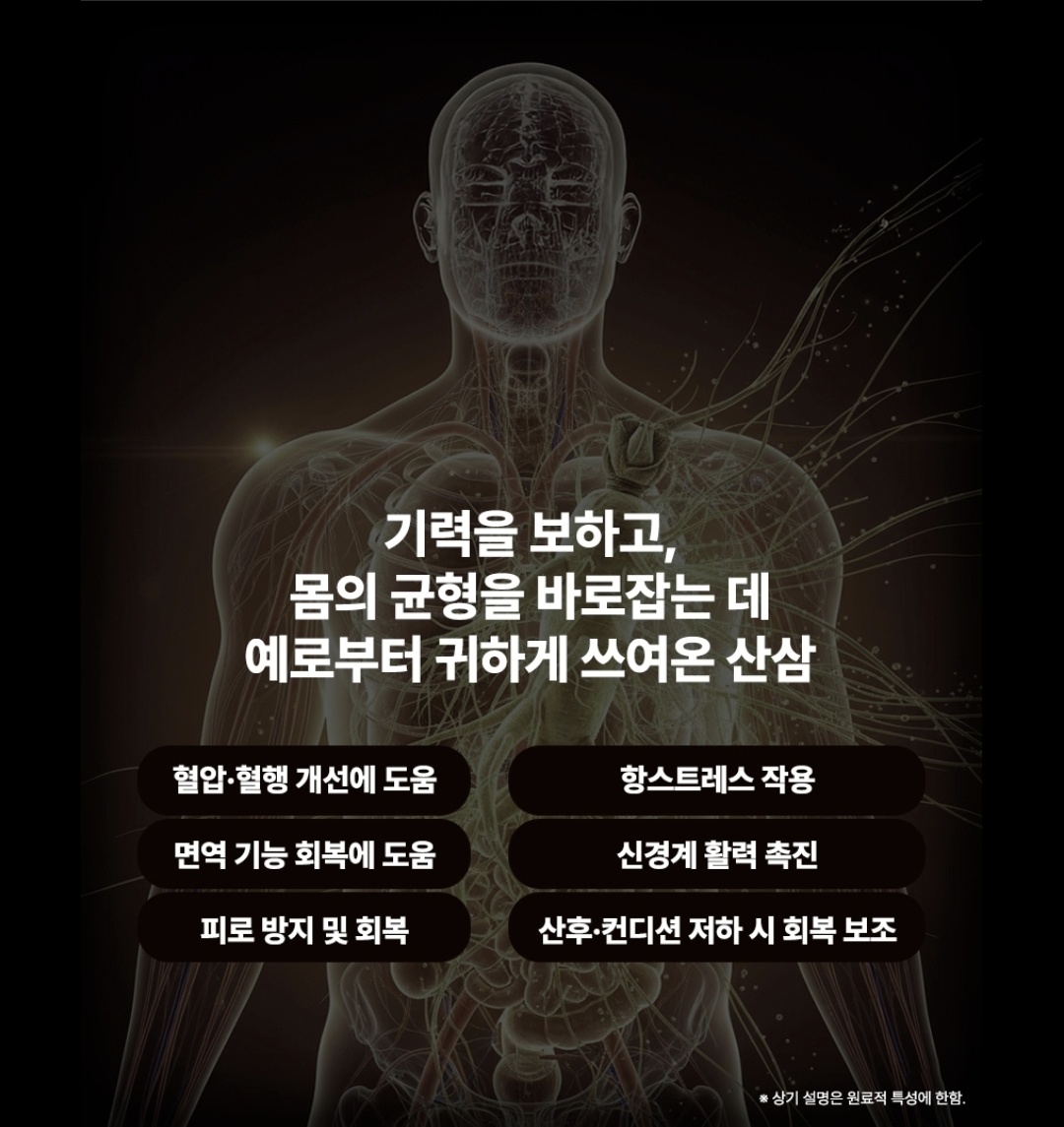 기력을 보하고, 몸의 균형을 바로잡는 데 예로부터 귀하게 쓰여온 산양삼